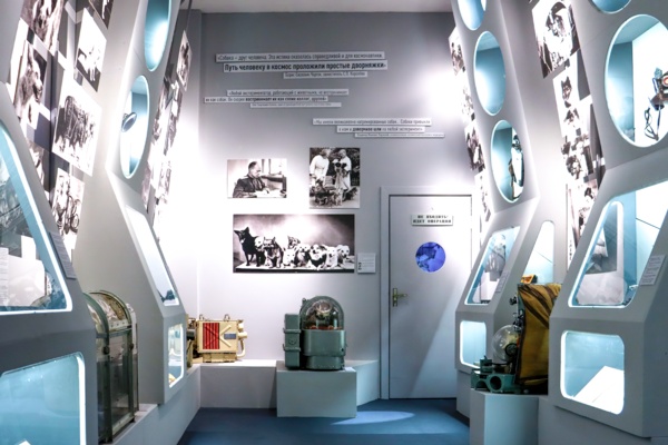 Четвероногие «космонавты» Четвероногие «космонавты»