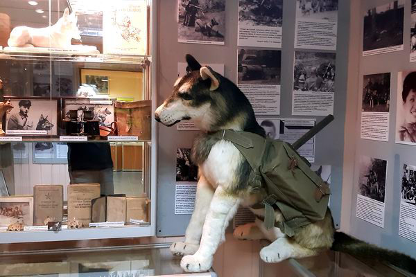 Музей, посвящённый собаке…