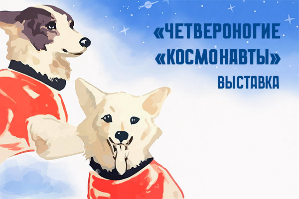 Четвероногие «космонавты»
