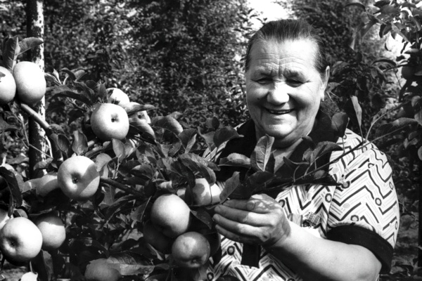 «…Будем хранить и приумножать эту красоту!..»