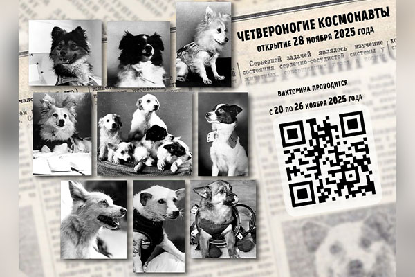 Викторина «Четвероногие космонавты»