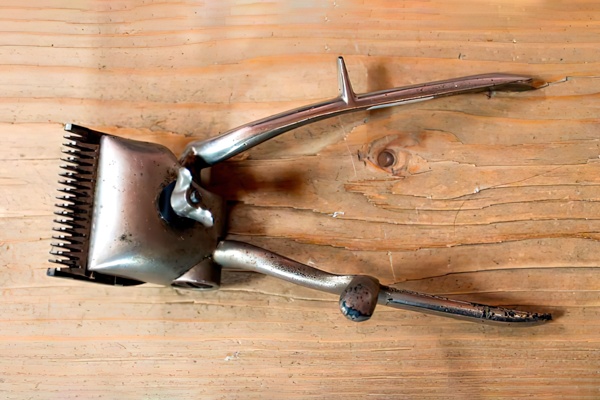 История одного предмета. Ручная машинка для стрижки волос Алексея Ивановича Гагарина