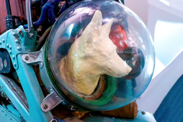 Предмет с выставки. Катапультная тележка для собак Предмет с выставки. Катапультная тележка для собак