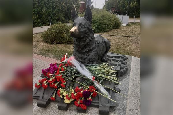«День Фронтовой собаки» состоялся в Музее Победы