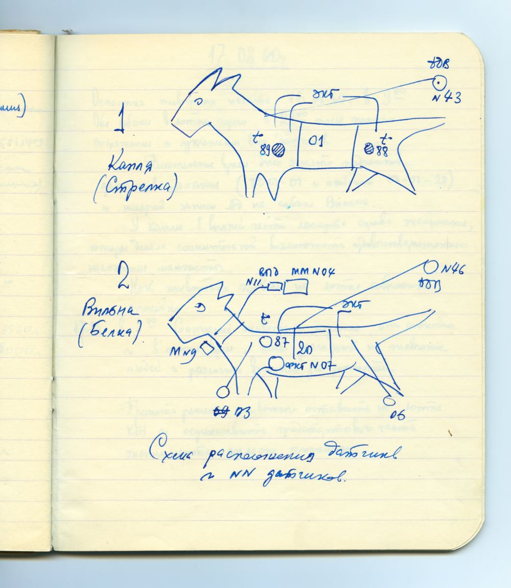 Схема расположения датчиков. Страница рабочей тетради О.Г. Газенко. 1960 год. (ФГБУ ГНЦ РФ – ИМБП РАН).