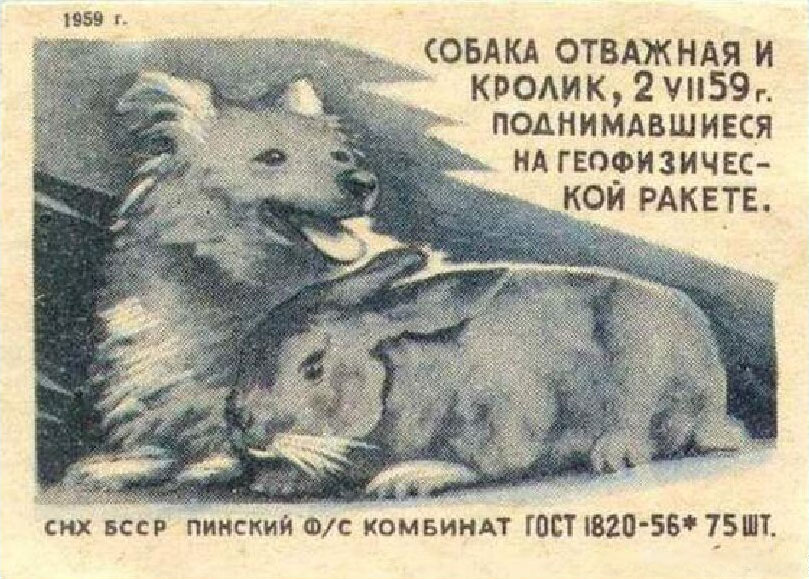 Этикетка от советского спичечного коробка «Собака Отважная и кролик, поднимавшиеся на геофизической ракете 2. VII. 59г.» Этикетка от советского спичечного коробка «Собака Отважная и кролик, поднимавшиеся на геофизической ракете 2. VII. 59г.»