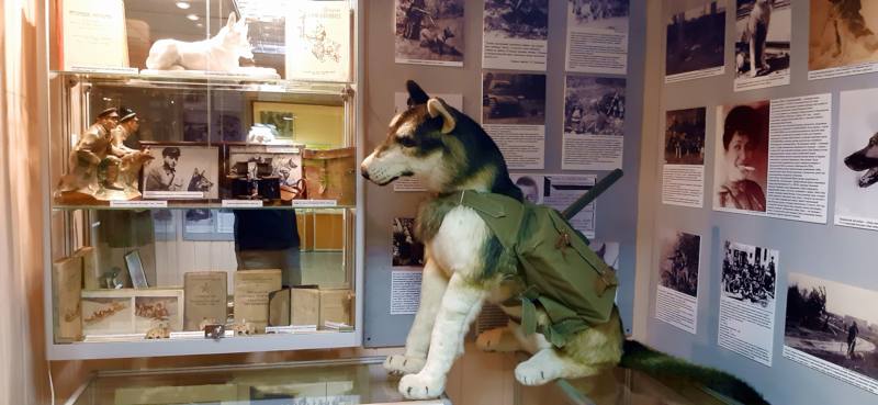 Музей, посвящённый собаке… 3.-gigapixel-standard-width-800px.jpeg