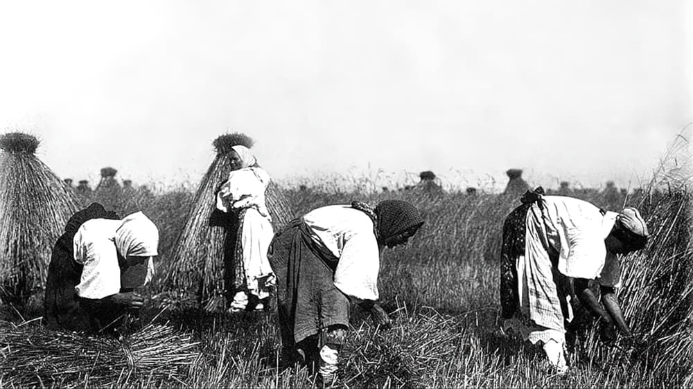 Хлеб – всей жизни голова Рисунок2-gigapixel-standard-width-1000px.jpeg