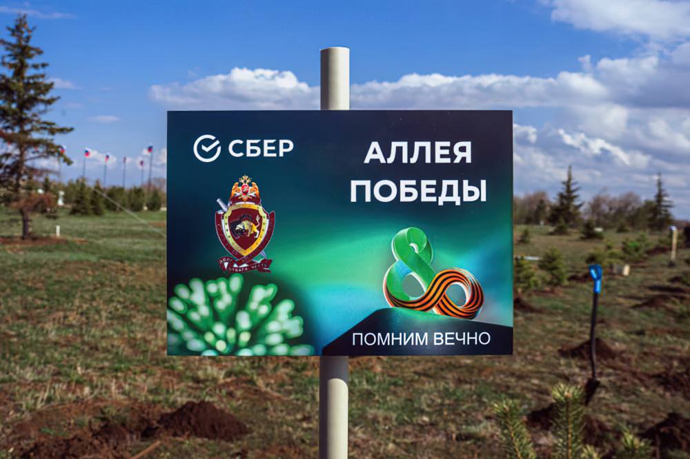 Посади дерево Посади дерево