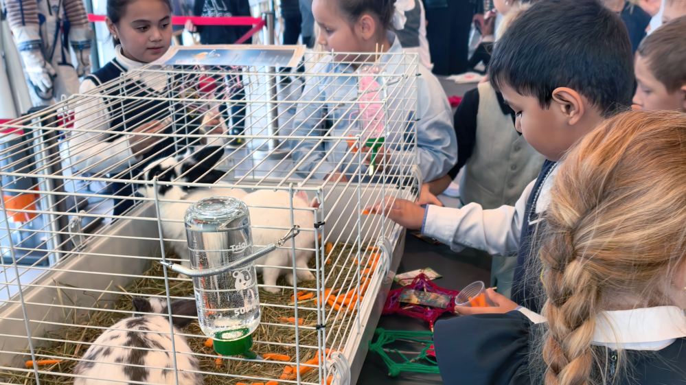 Угощение для очаровательных гостей Угощение для очаровательных гостей