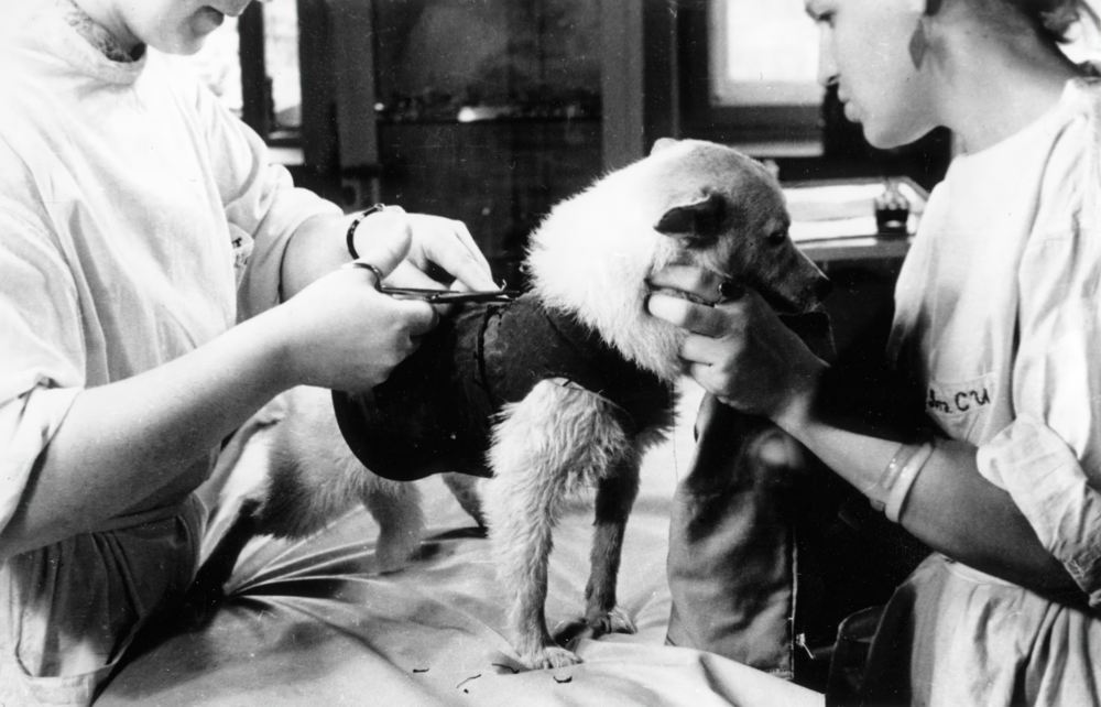 Проводится подгонка «космического» костюма.