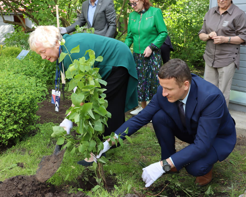 Посадка «гагаринской сирени» ФОТО сажают сирень PIXEL.jpg