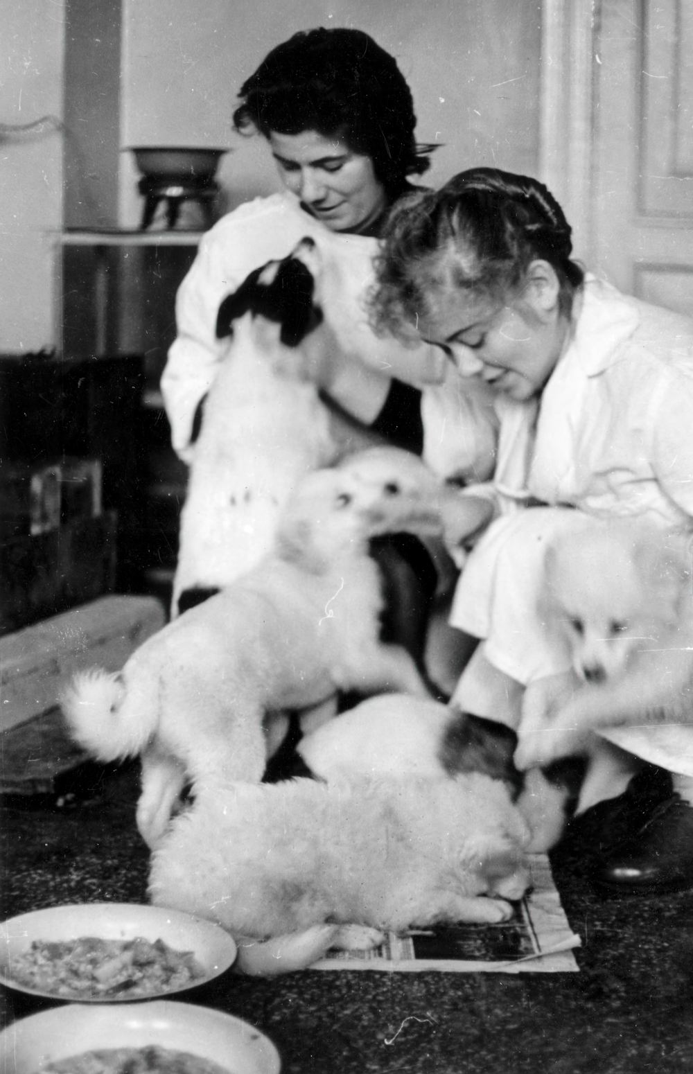 Сотрудники института во время кормления малышей. 8. Сотрудники института во время кормления малышей.