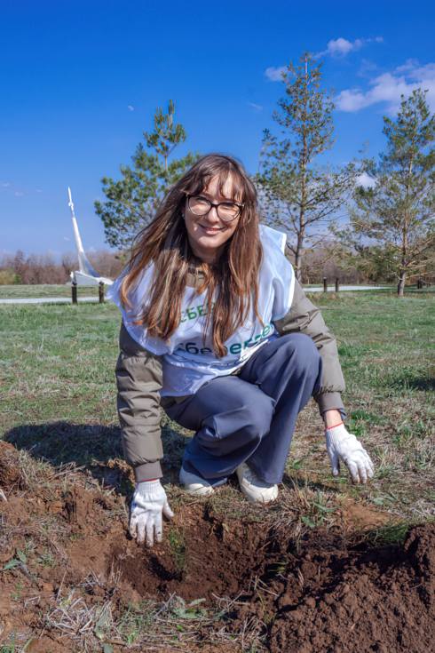 Посади дерево Посади дерево