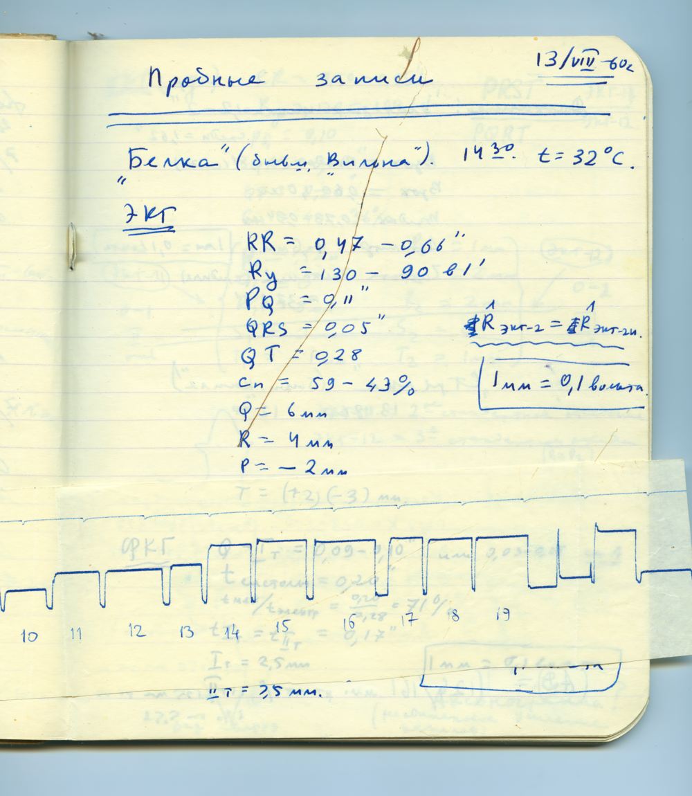 Пробные записи исследования собаки Белки (Вильна) от 13.VIII.1960г. Страница рабочей тетради О.Г. Газенко. 1960 год. (ФГБУ ГНЦ РФ – ИМБП РАН).