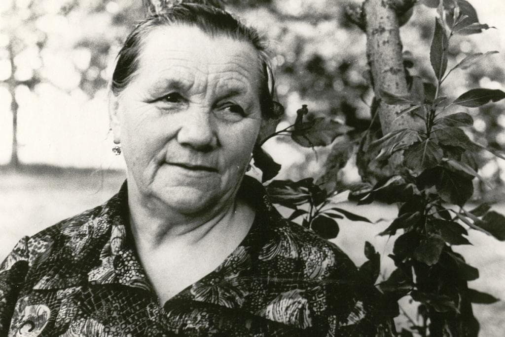 Из Клушино в Гжатск