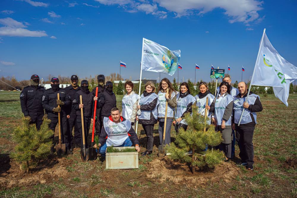 Посади дерево Посади дерево