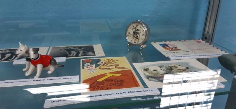 Музей, посвящённый собаке… 4.-gigapixel-standard-width-800px.jpeg