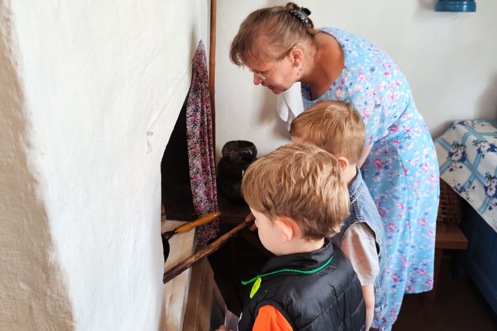 Дождь, ветер и «Ромашковый праздник» Дождь, ветер и «Ромашковый праздник»