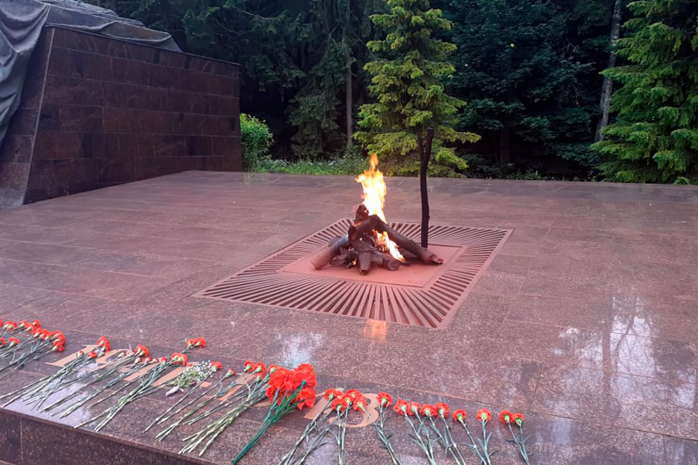 Шумел сурово Брянский лес…