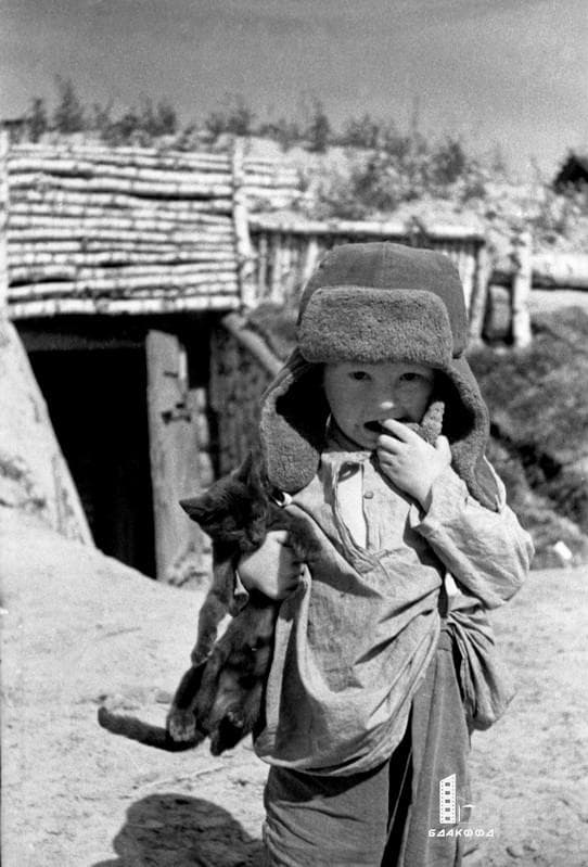 Народы России и Беларуси связывает многовековая история — и в этом их сила Народы России и Беларуси связывает многовековая история — и в этом их сила