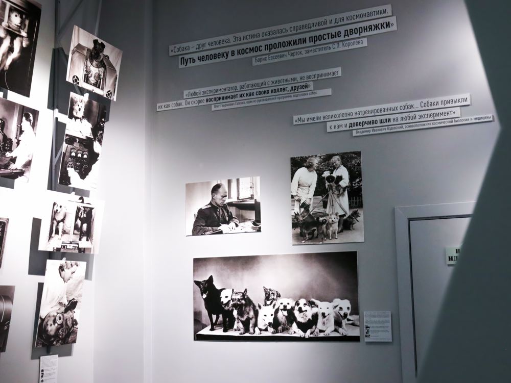 Выставка «Четвероногие «космонавты»