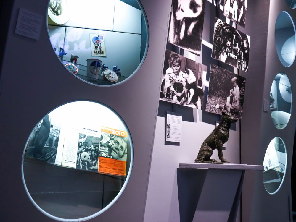 Выставка «Четвероногие «космонавты»