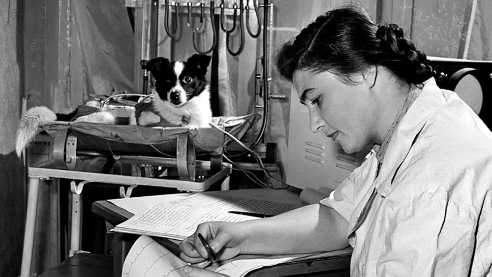 А.Р. Котовская с «дублёром» Лайки – собакой Альфой. 1957 год.