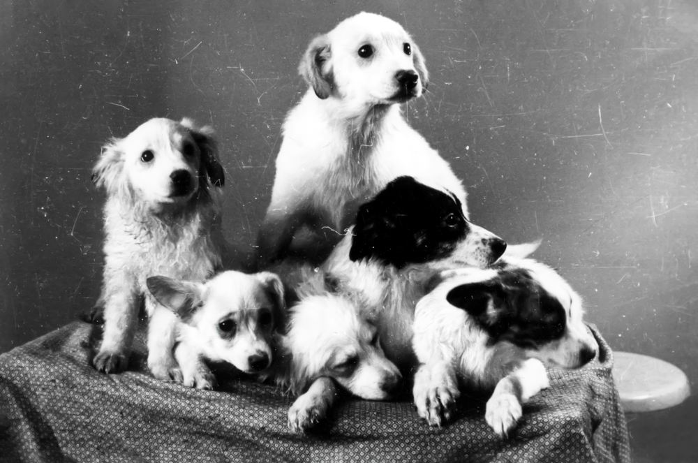 Дочки и сыночки! Дочки и сыночки!