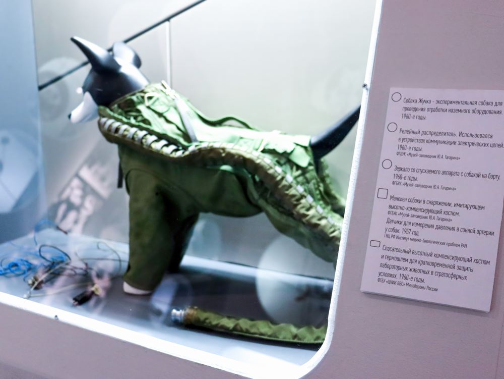Выставка «Четвероногие «космонавты»