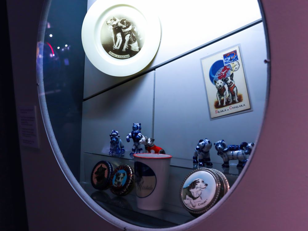 Выставка «Четвероногие «космонавты»