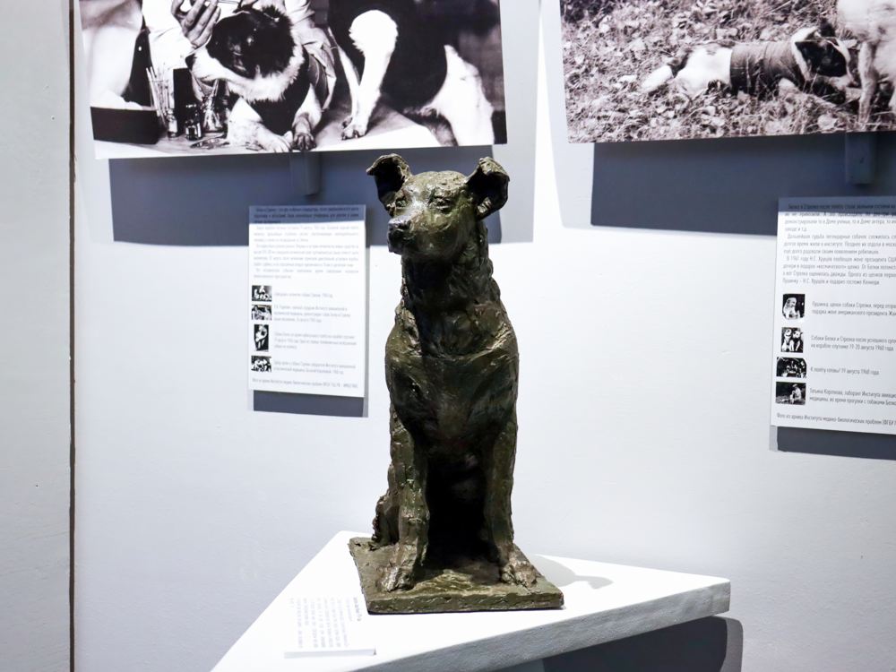 Выставка «Четвероногие «космонавты»