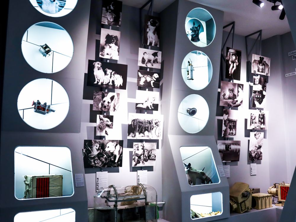 Выставка «Четвероногие «космонавты»