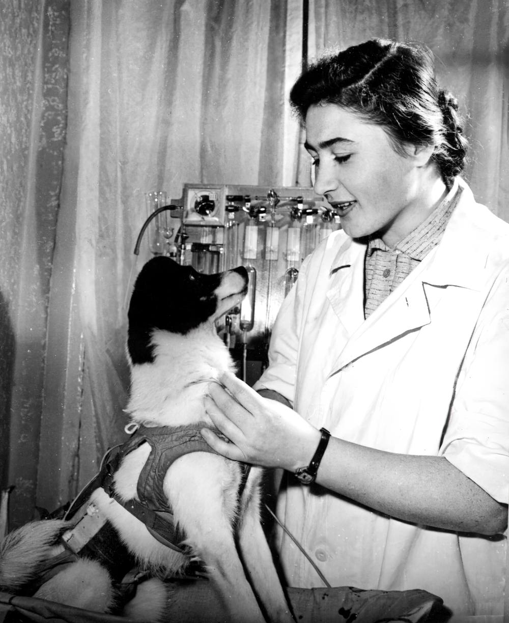 А.Р. Котовская с «дублёром» Лайки – собакой Альфой. А.Р. Котовская с «дублёром» Лайки – собакой Альфой.