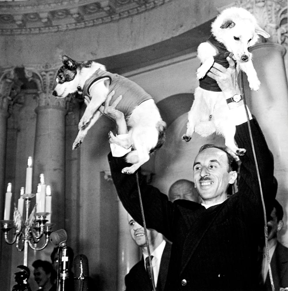 О.Г. Газенко демонстрирует Белку и Стрелку в Президиуме АН СССР на пресс-конференции, посвященной полёту Второго корабля-спутника. 1960 год.