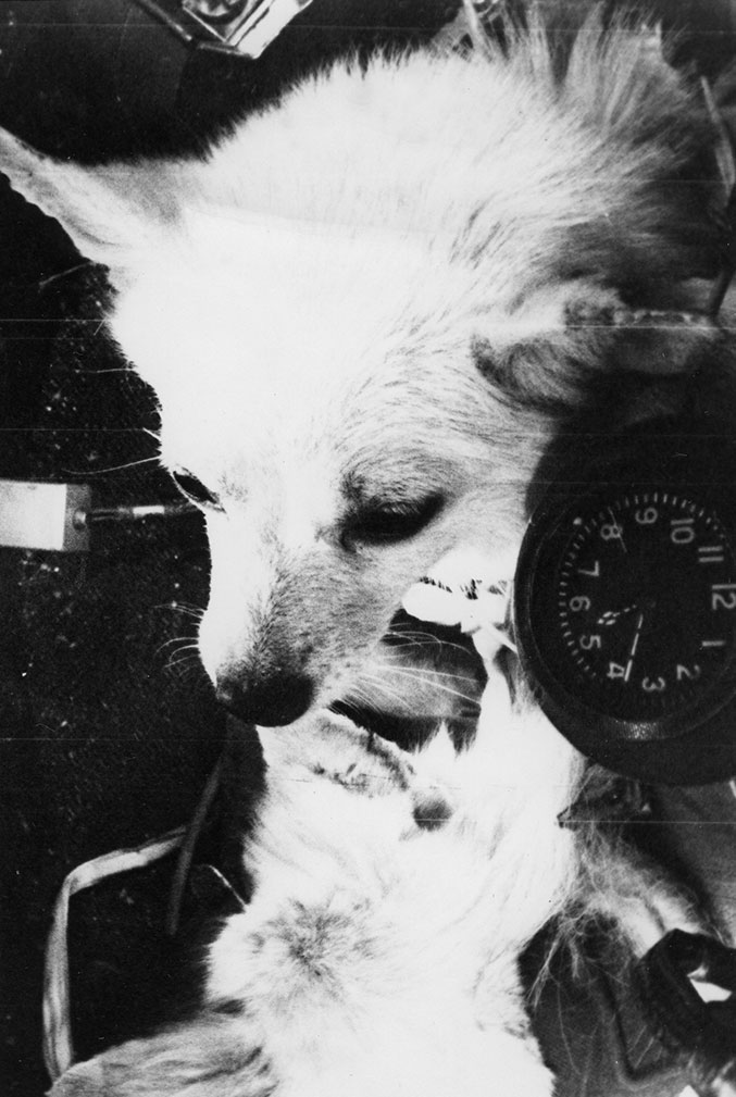 В невесомости.