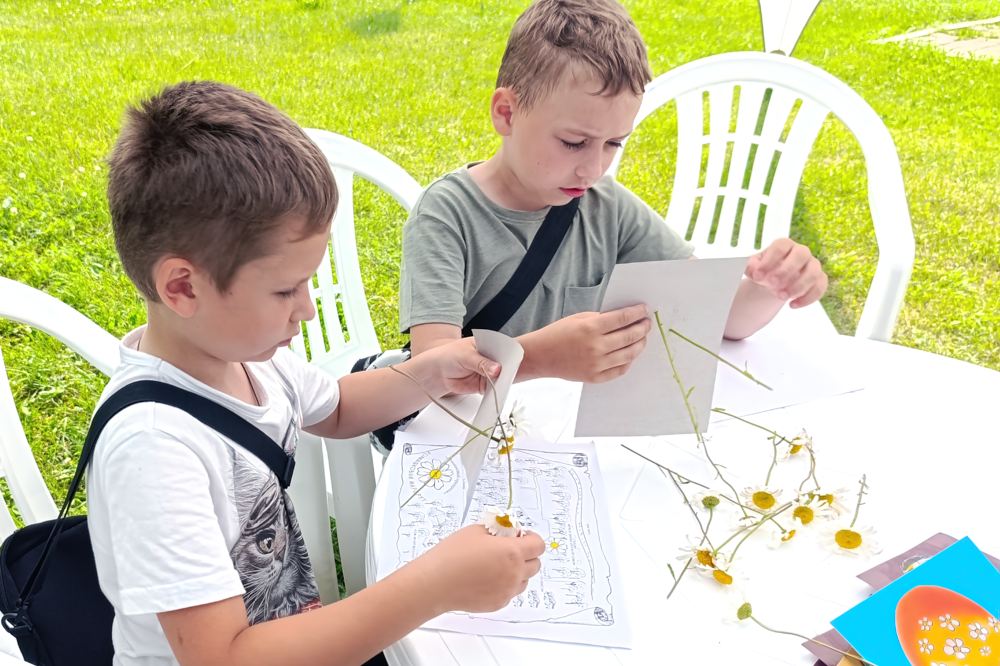 Дождь, ветер и «Ромашковый праздник» Дождь, ветер и «Ромашковый праздник»