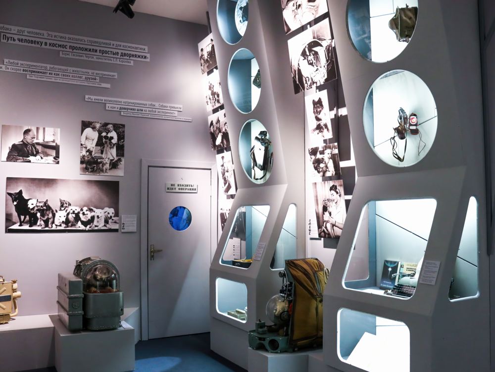 Выставка «Четвероногие «космонавты»