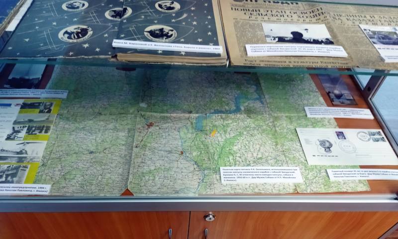 Музей, посвящённый собаке… 6.-gigapixel-standard-width-800px.jpeg