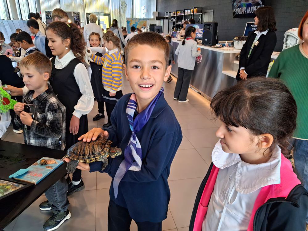 С черепахой С черепахой