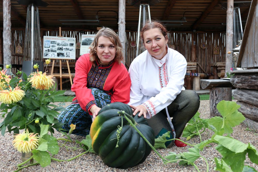 Юрины сады Юрины сады