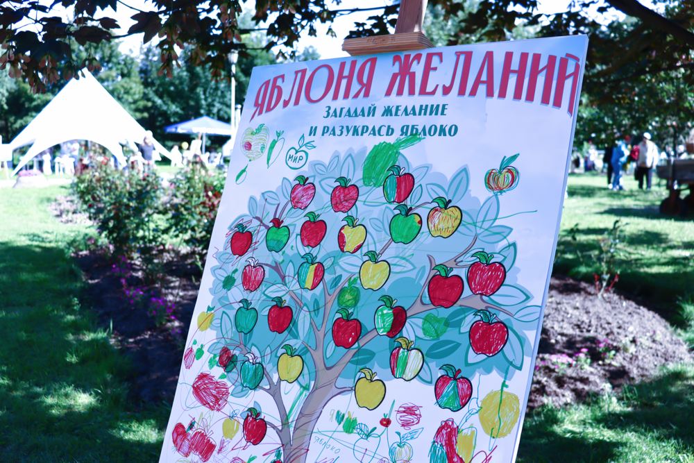 Праздник «Гагаринского сада» Праздник «Гагаринского сада»