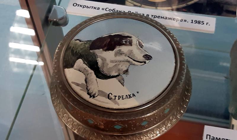 Музей, посвящённый собаке… 5.-gigapixel-standard-width-800px.jpeg