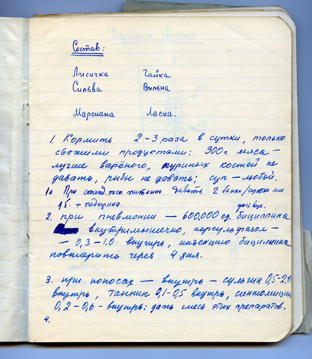 Страница рабочей тетради О.Г. Газенко. 1960 год. (ФГБУ ГНЦ РФ – ИМБП РАН). 3. Страница рабочей тетради О.Г. Газенко. 1960 год. (ФГБУ ГНЦ РФ – ИМБП РАН).