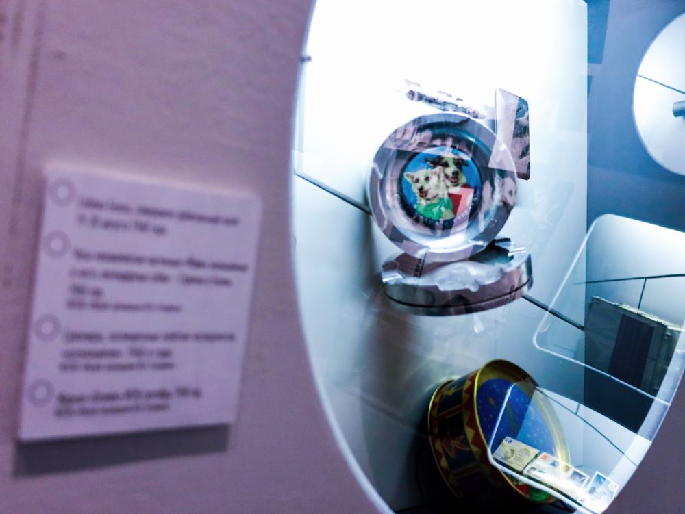 Выставка «Четвероногие «космонавты»