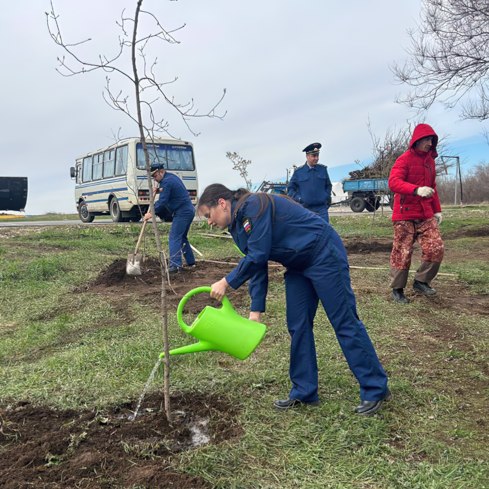 Посади дерево Посади дерево