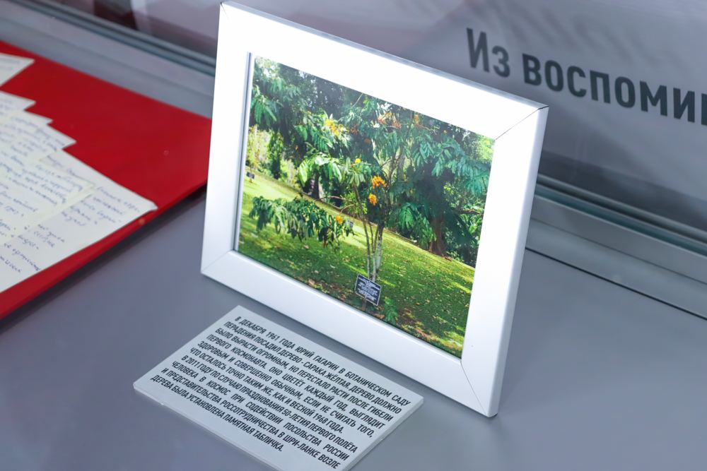 Открытие выставки «Два слона. Индия»