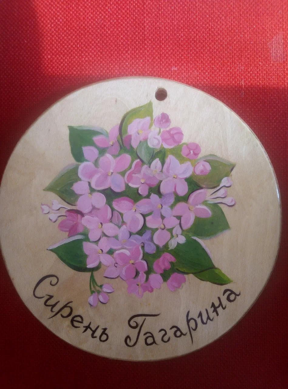 IMG_20230222_121617.jpg IMG_20230222_121617.jpg