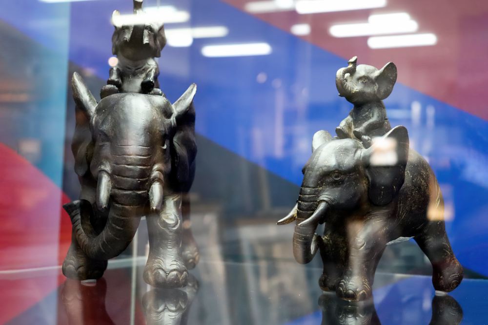 Открытие выставки «Два слона. Индия»