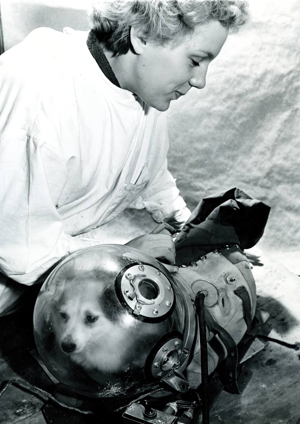 Лаборант Наталья Казакова во время предполётной подготовки собаки Козявки. Лаборант Наталья Казакова во время предполётной подготовки собаки Козявки.